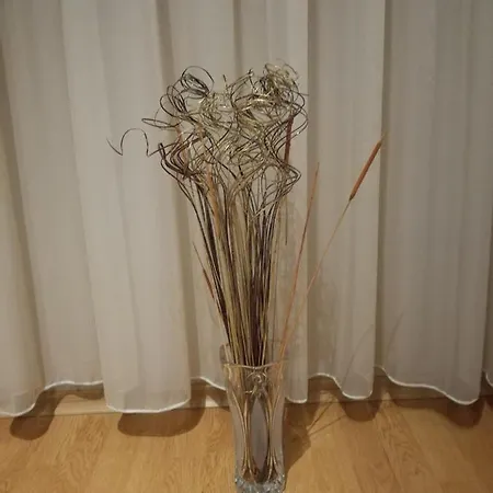 за гости георгиеви 公寓 *