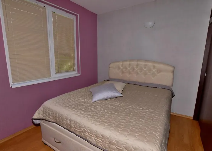 за гости георгиеви Tırnova